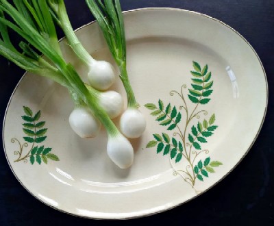 Fernwiid Dinner Plate